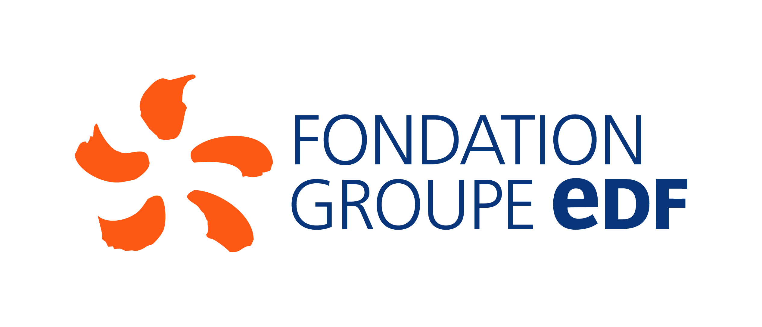 Logo Fondation Groupe EDF