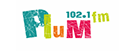 Logo Plum FM