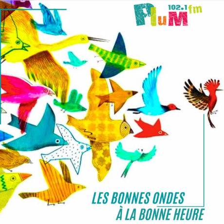 Illustration actualité
