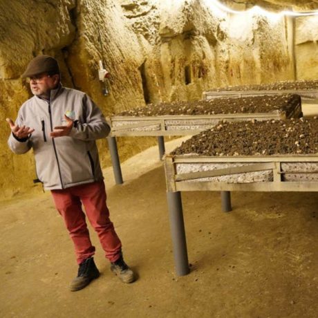 Illustration actualité